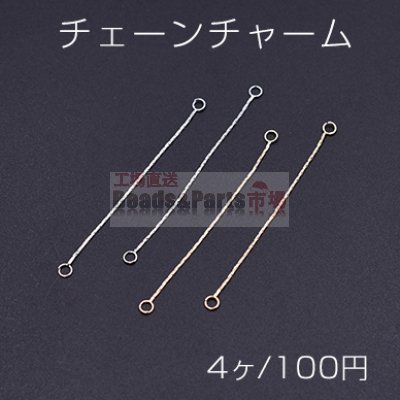 チェーンチャーム No.8 2カン付き 6.2cm【4ヶ】