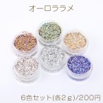 オーロララメ ケース付き ネイルパーツ レジン封入パーツ 6色セット(各2ｇ)