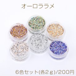オーロララメ ケース付き ネイルパーツ レジン封入パーツ 6色セット(各2ｇ)