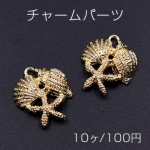 チャームパーツ ヒトデ&シェル 19×23mm ゴールド【10ヶ】