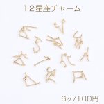 12星座チャーム レジン封入パーツ ロジウム（6ヶ）