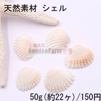 天然素材 シェル ハンドメイド用【50g(約22ヶ)】