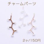 チャームパーツ ビーズ付き枝 ゴールド【2ヶ】