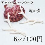 アクセサリーパーツ鹿の角 アイボリーホワイト