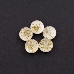 樹脂貼付けパーツ 円形 ドライフラワー封入 15x15mm クリア/クリーム【50ヶ(約123.8g)】