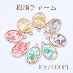 樹脂チャーム 金箔とシェルパウダー封入 オーバル 1カン 15×23mm【2ヶ】