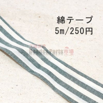 テープNo.202 綿テープ ストライプ 幅15mm ダークグリーン×白【5m】