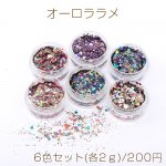 オーロララメ ケース付き ネイルパーツ レジン封入パーツ 六角形A 6色セット(各2ｇ)