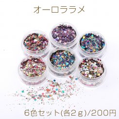 オーロララメ ケース付き ネイルパーツ レジン封入パーツ 六角形A 6色セット(各2ｇ)