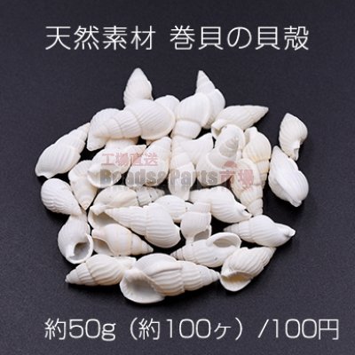 天然素材 巻貝の貝殻 ハンドメイド用【約50g（約100ヶ）】