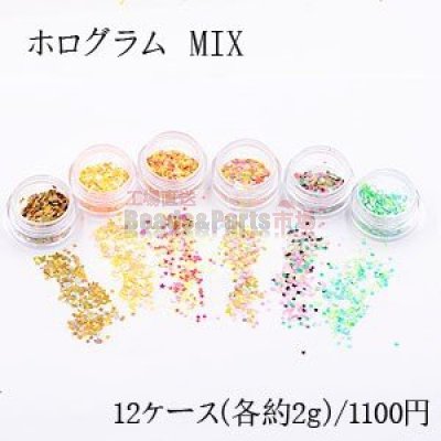 ホログラム MIX ネイルパーツ カラーミックス 12色セット 各2ｇ ケース付き