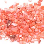 染色シェル貝 さざれ石(穴なし) ダークオレンジ 5-7mm(50g)