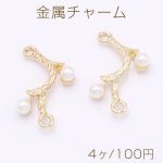 金属チャーム 枝 パール付き 2カン 17×24mm ゴールド【4ヶ】