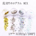 乱切りホログラム MIX ネイルパーツ ミックス 全9色 2ｇ入り ケース付き