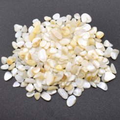シェル貝 さざれ石(穴なし) 淡水シェル 5-7mm(50g)