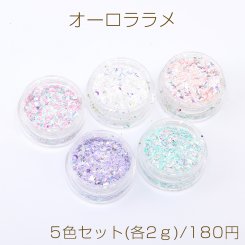 オーロララメ ケース付き ネイルパーツ レジン封入パーツ 星と月 5色セット(各2ｇ)