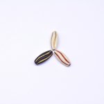 アクリルビーズ アンティーク調 不規則ライス オーバル 10×25mm【500g】