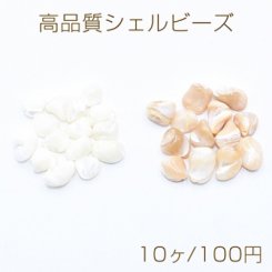 高品質シェル ビーズ さざれ 8-12mm 天然素材【10ヶ】