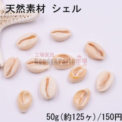天然素材 シェル ハンドメイド用【50g(約125ヶ)】