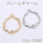 フレームチャーム 雫型 花冠付き 1カン 25×31mm【10ヶ】