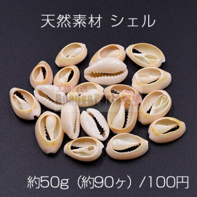 天然素材 シェル ハンドメイド用【約50g（約90ヶ）】