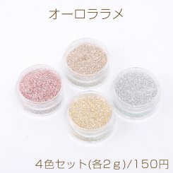 オーロララメ ケース付き ネイルパーツ レジン封入パーツ 4色セット(各2ｇ)
