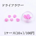 ドライフラワー レジン封入用 ダークピンク【1ケース】
