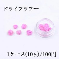 ドライフラワー レジン封入用 ダークピンク【1ケース】