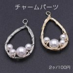 チャームパーツ 雫 パール付き 1カン 16×28mm ゴールド【2ヶ】