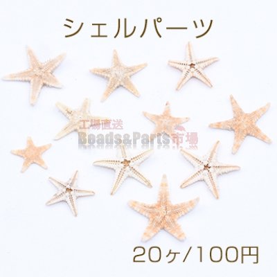 シェルパーツ ヒトデ 天然素材【20ヶ】