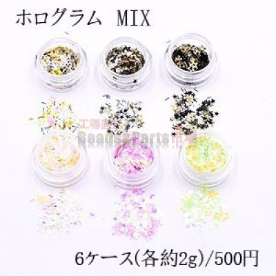 ホログラム MIX ネイルパーツ カラーミックス 6色セット 各2ｇ ケース付き