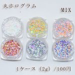 【2g】丸ホログラム MIX ネイルパーツ カラーミックス