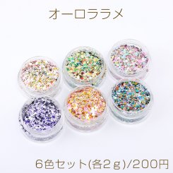 オーロララメ ケース付き ネイルパーツ レジン封入パーツ 六角形C 6色セット(各2ｇ)