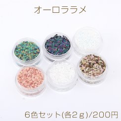 オーロララメ ケース付き ネイルパーツ レジン封入パーツ 星形 6色セット(各2ｇ)