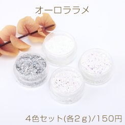 オーロララメ ケース付き ネイルパーツ レジン封入パーツ 不規則型 4色セット(各2ｇ)