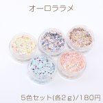オーロララメ ケース付き ネイルパーツ レジン封入パーツ 5色セット(各2ｇ)