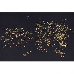 ネイルパーツ メタルパーツ ホースアイ 1×2mm ゴールド【約500ヶ】