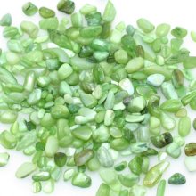 染色シェル貝 さざれ石(穴なし) イエロー 5-7mm(50g) - Beads-Parts