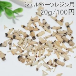 シェルパーツレジン用