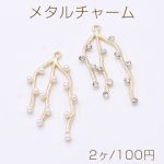 メタルチャーム 枝チャーム 1カン 24×44mm【2ヶ】