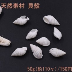 天然素材 巻貝の貝殻 穴あり ハンドメイド用【50g(約110ヶ)】
