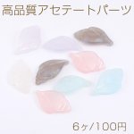 高品質アセテートパーツ 巻き貝 1穴 15×26mm（6ヶ）